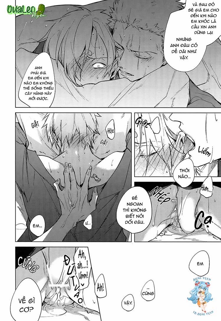 Tổng Hợp OnePiece Dj 1 trang 33