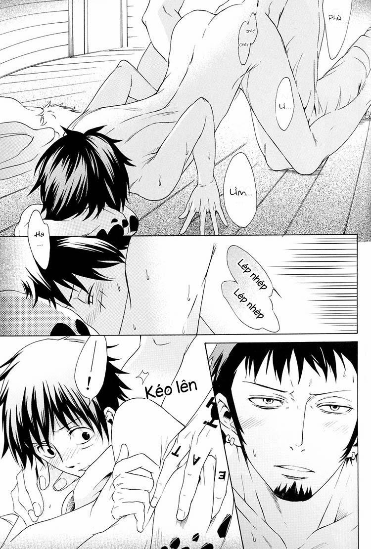 Tổng Hợp OnePiece Dj 10 trang 24