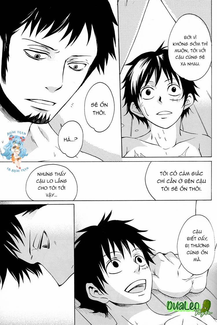 Tổng Hợp OnePiece Dj 10 trang 28