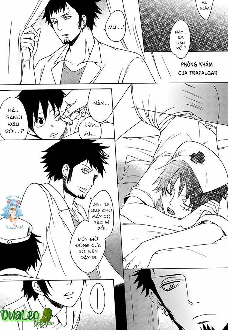 Tổng Hợp OnePiece Dj 13 trang 12