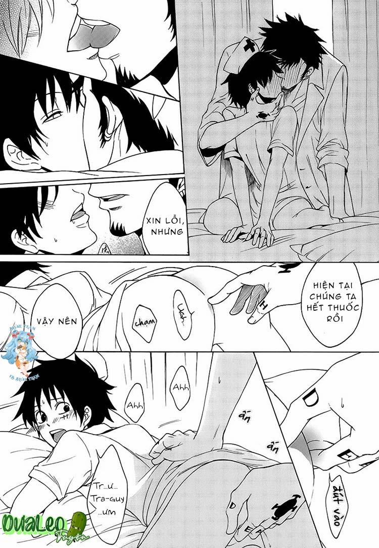 Tổng Hợp OnePiece Dj 13 trang 15