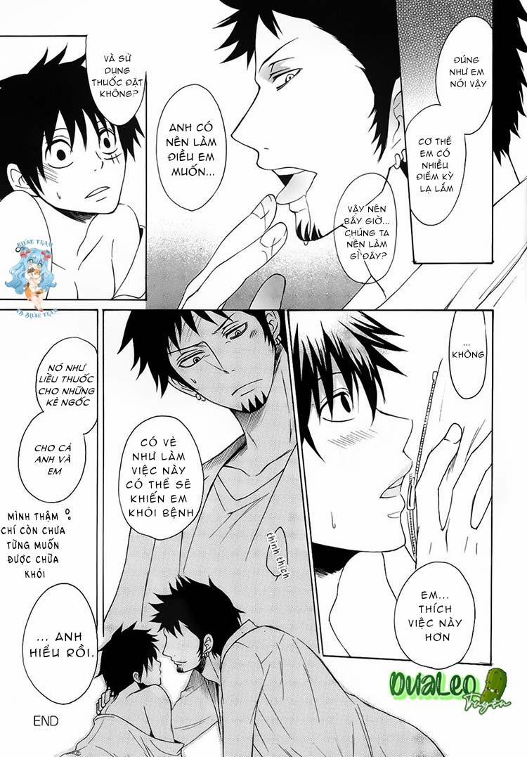 Tổng Hợp OnePiece Dj 13 trang 17