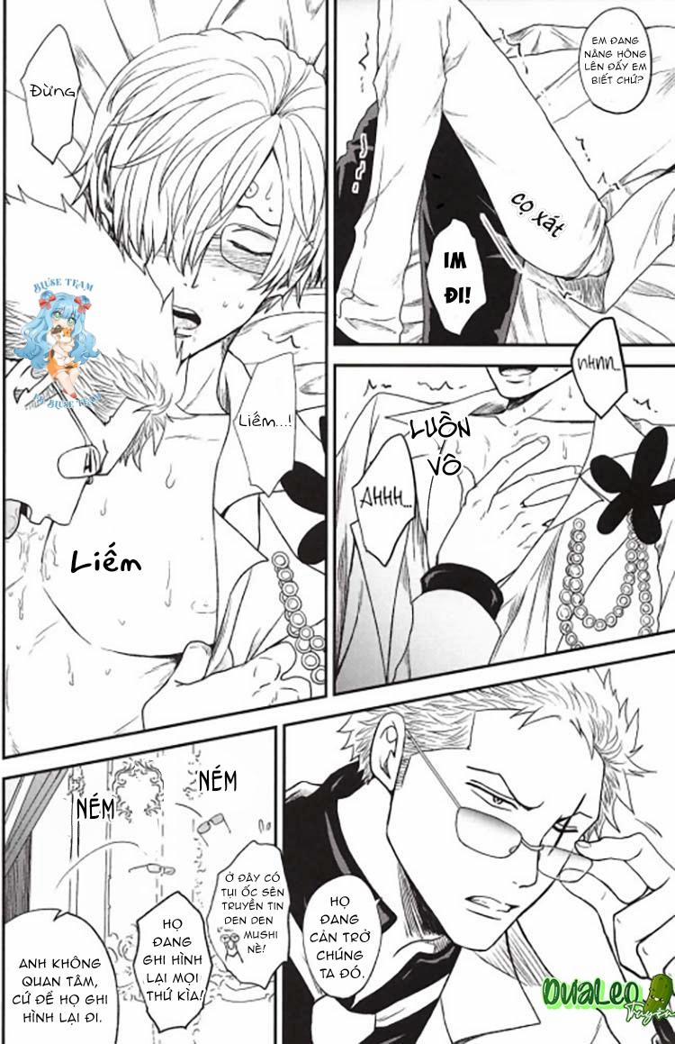 Tổng Hợp OnePiece Dj 17 trang 8