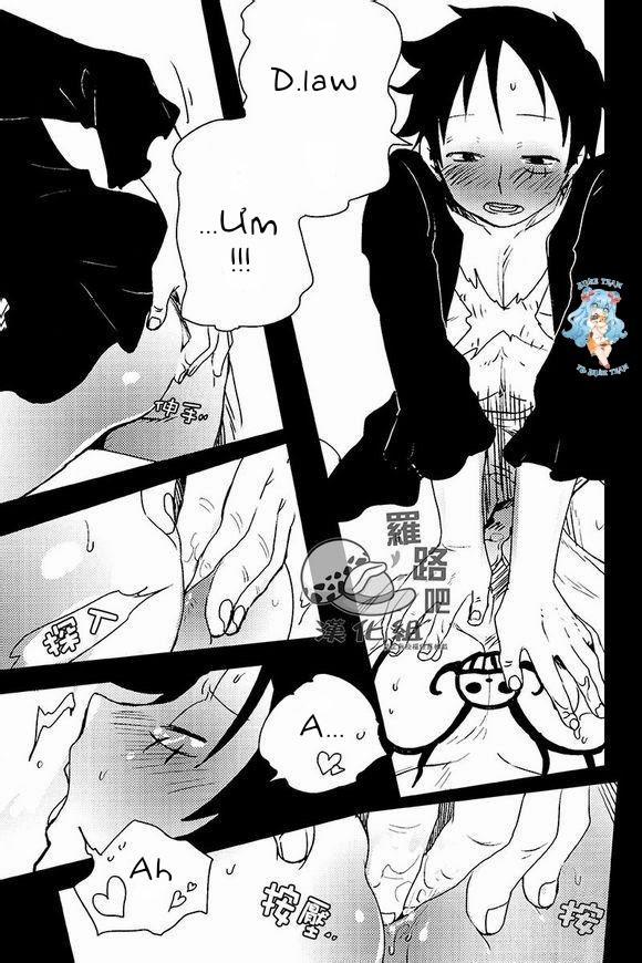 Tổng Hợp OnePiece Dj 19 trang 16