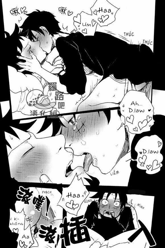 Tổng Hợp OnePiece Dj 19 trang 19