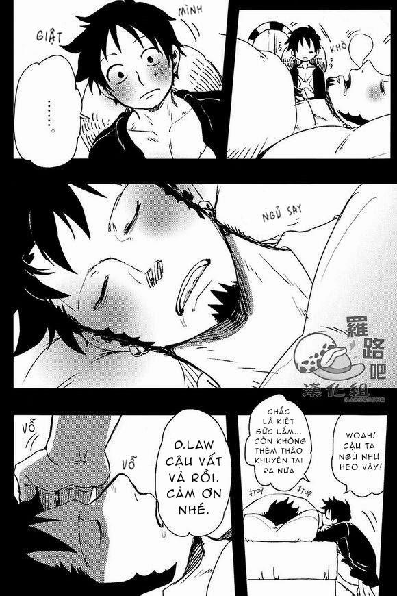 Tổng Hợp OnePiece Dj 19 trang 3