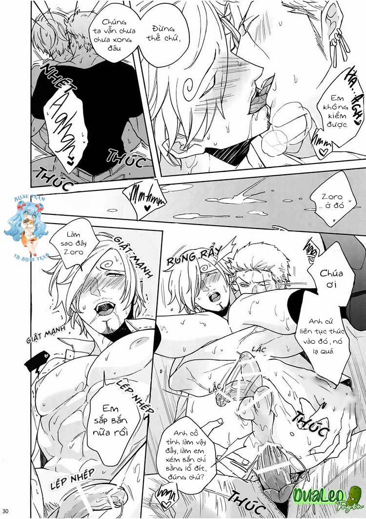 Tổng Hợp OnePiece Dj 21 trang 31