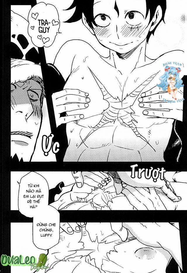 Tổng Hợp OnePiece Dj 4 trang 4