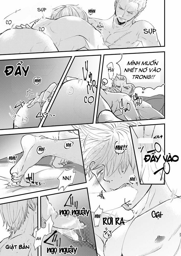 Tổng Hợp OnePiece Dj 8 trang 26