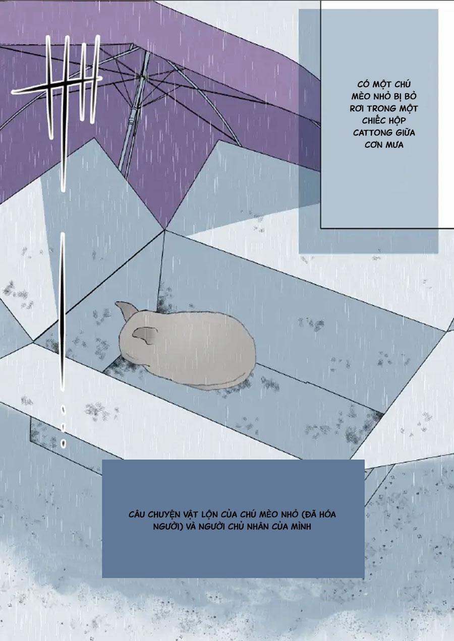 Tổng Hợp Oneshort Nhà Guess 64 trang 1