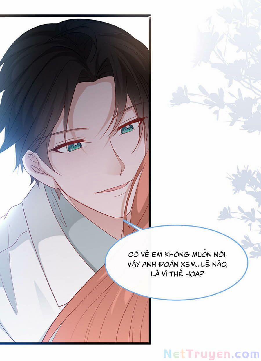 Tổng Tài Daddy Đuổi Tới Nơi Rồi 106 trang 18