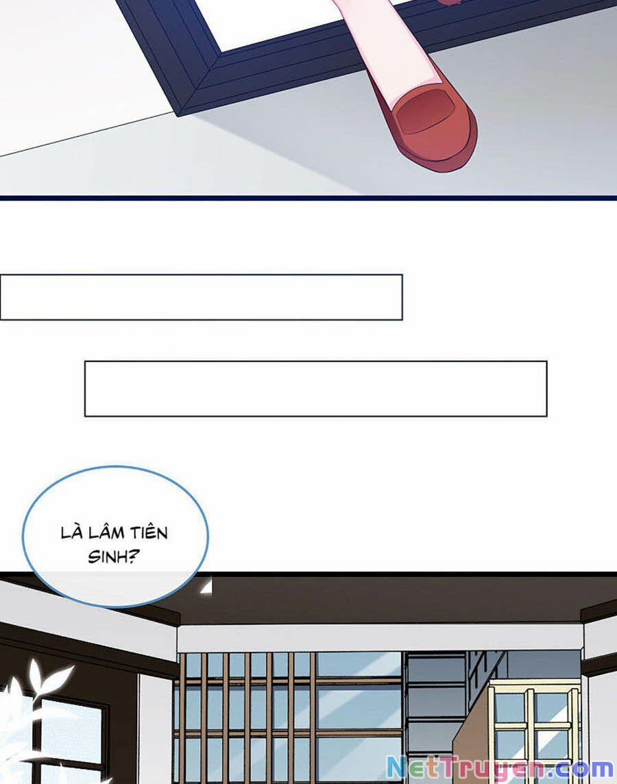 Tổng Tài Daddy Đuổi Tới Nơi Rồi 125 trang 4