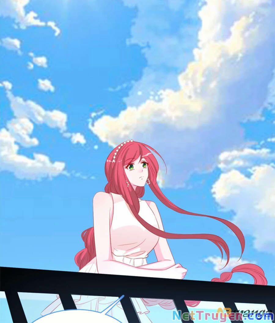 Tổng Tài Daddy Đuổi Tới Nơi Rồi 129 trang 16