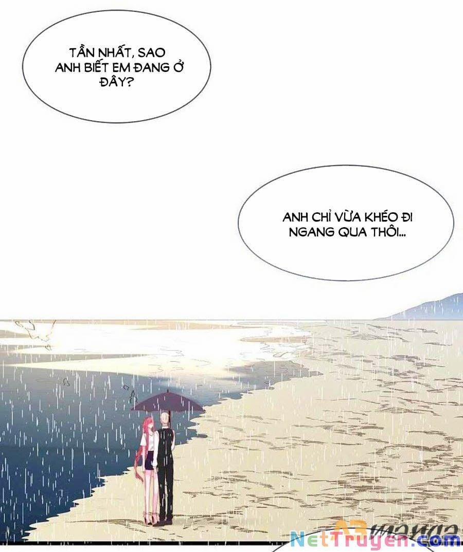 Tổng Tài Daddy Đuổi Tới Nơi Rồi 141 trang 0