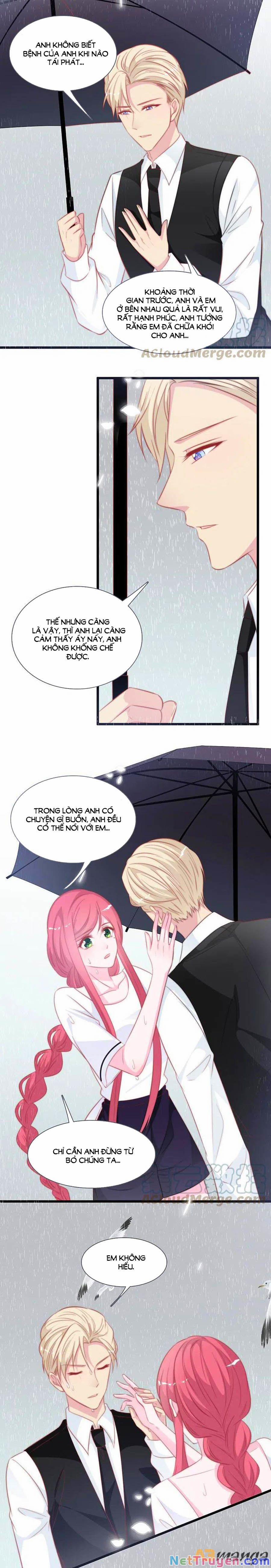 Tổng Tài Daddy Đuổi Tới Nơi Rồi 141 trang 3