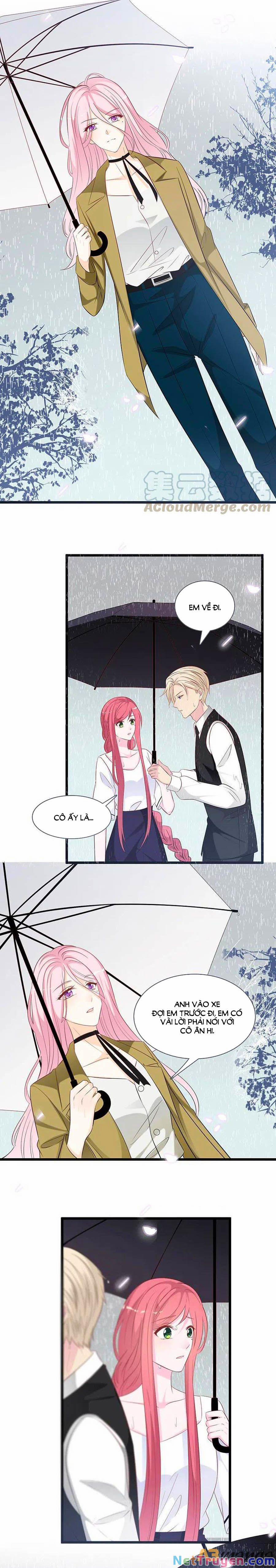 Tổng Tài Daddy Đuổi Tới Nơi Rồi 141 trang 5