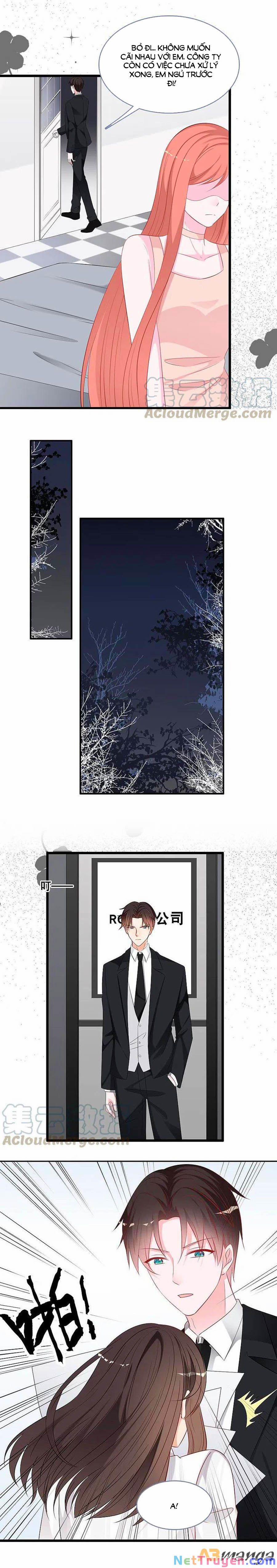 Tổng Tài Daddy Đuổi Tới Nơi Rồi 142 trang 7