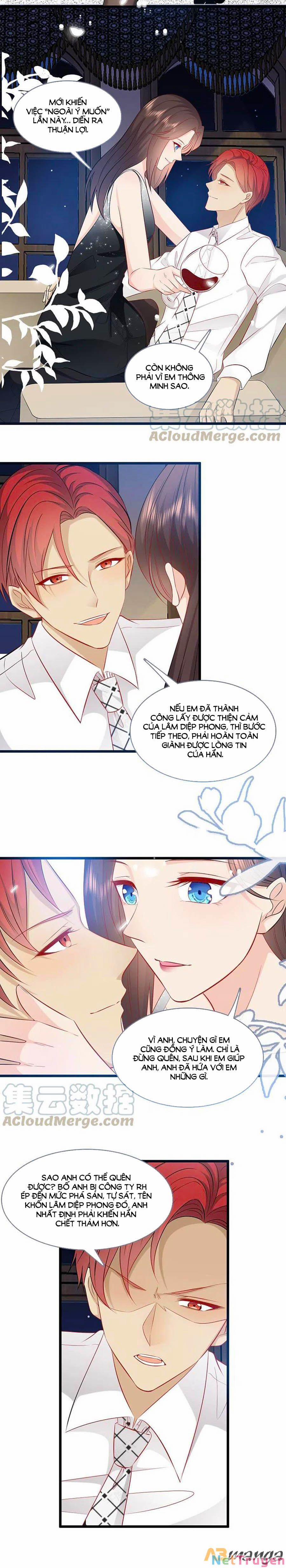 Tổng Tài Daddy Đuổi Tới Nơi Rồi 145 trang 5