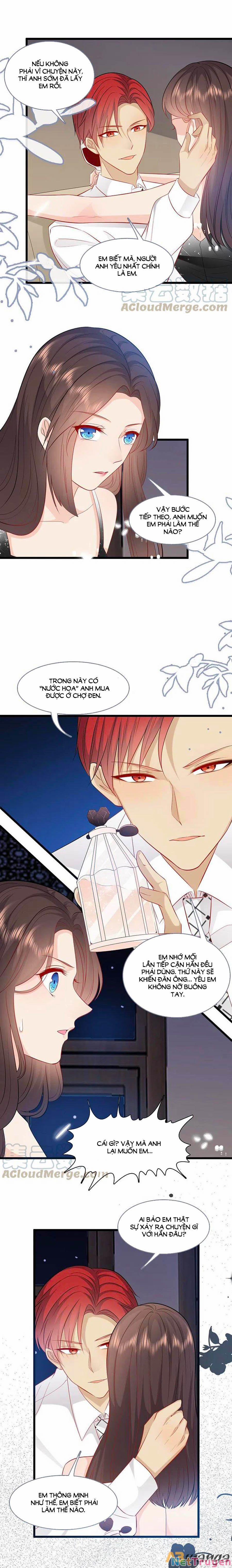 Tổng Tài Daddy Đuổi Tới Nơi Rồi 145 trang 6