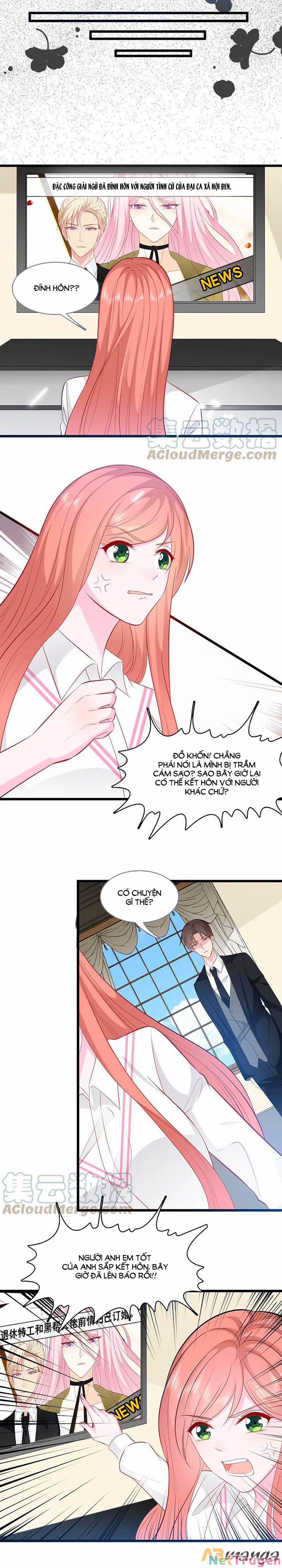 Tổng Tài Daddy Đuổi Tới Nơi Rồi 145 trang 7