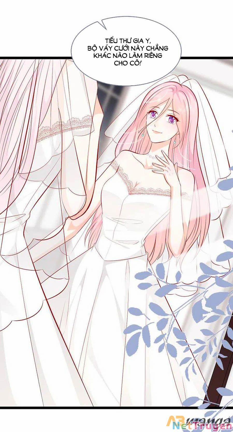 Tổng Tài Daddy Đuổi Tới Nơi Rồi 146 trang 0