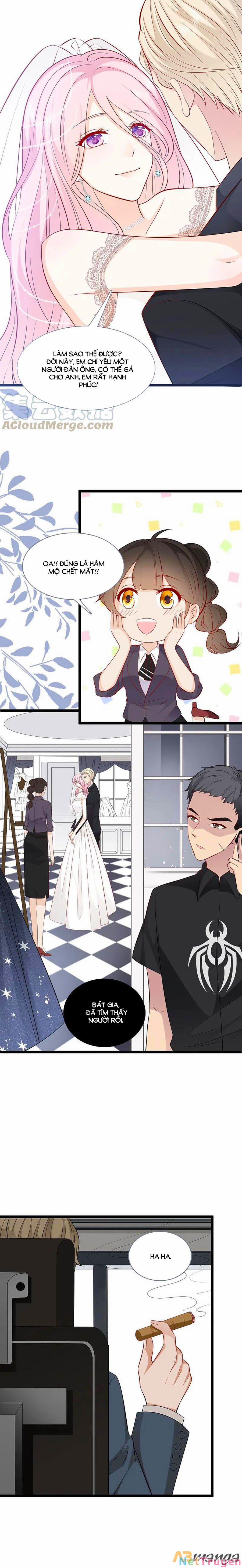 Tổng Tài Daddy Đuổi Tới Nơi Rồi 146 trang 2