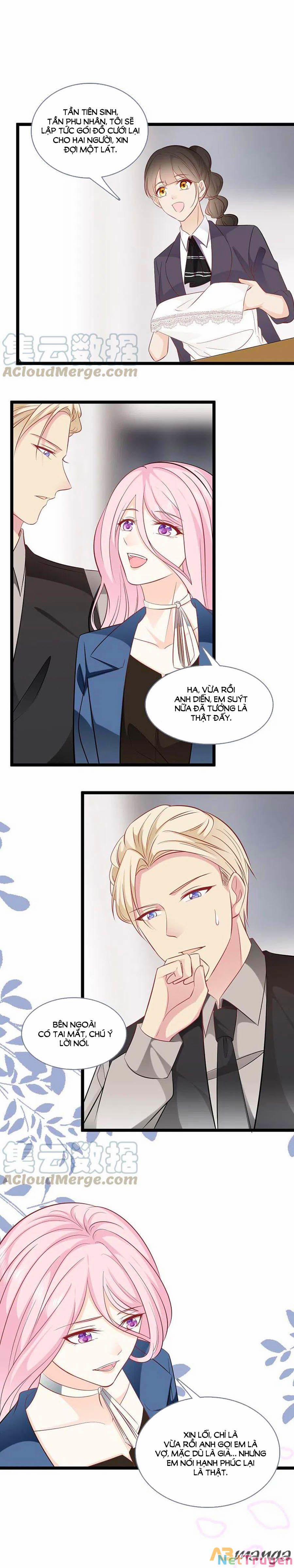 Tổng Tài Daddy Đuổi Tới Nơi Rồi 146 trang 3