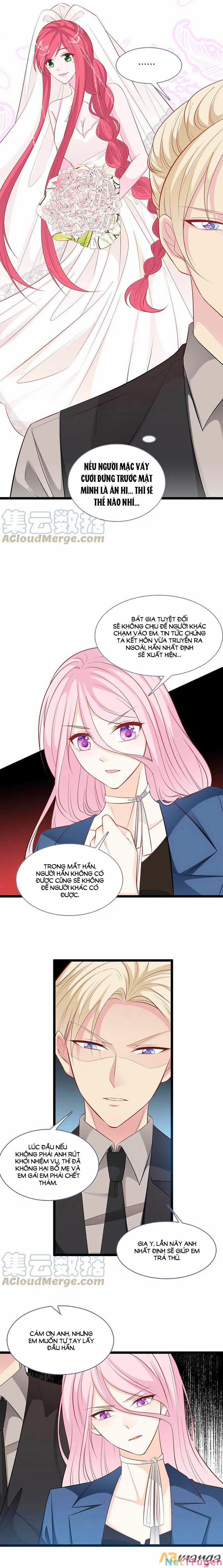 Tổng Tài Daddy Đuổi Tới Nơi Rồi 146 trang 4