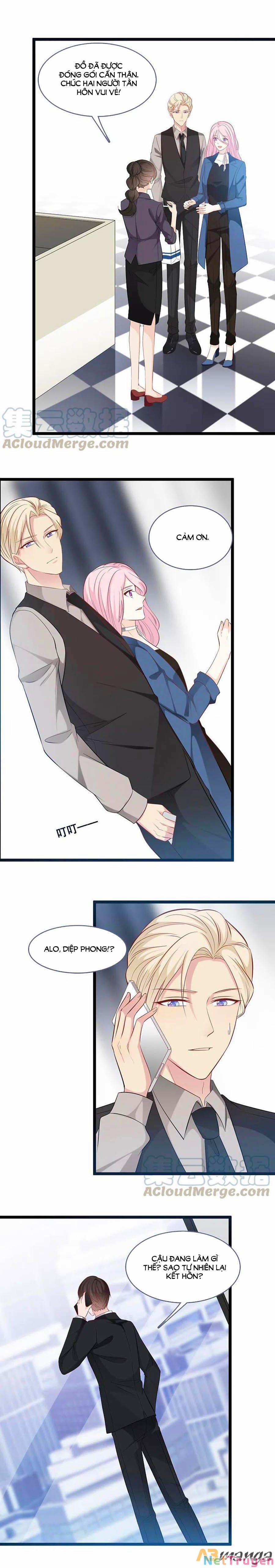 Tổng Tài Daddy Đuổi Tới Nơi Rồi 146 trang 5