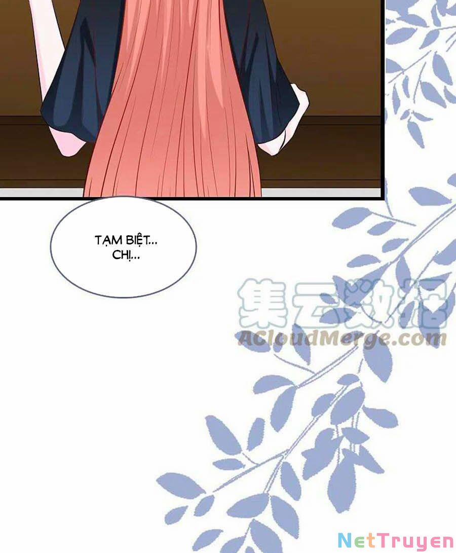 Tổng Tài Daddy Đuổi Tới Nơi Rồi 147 trang 15