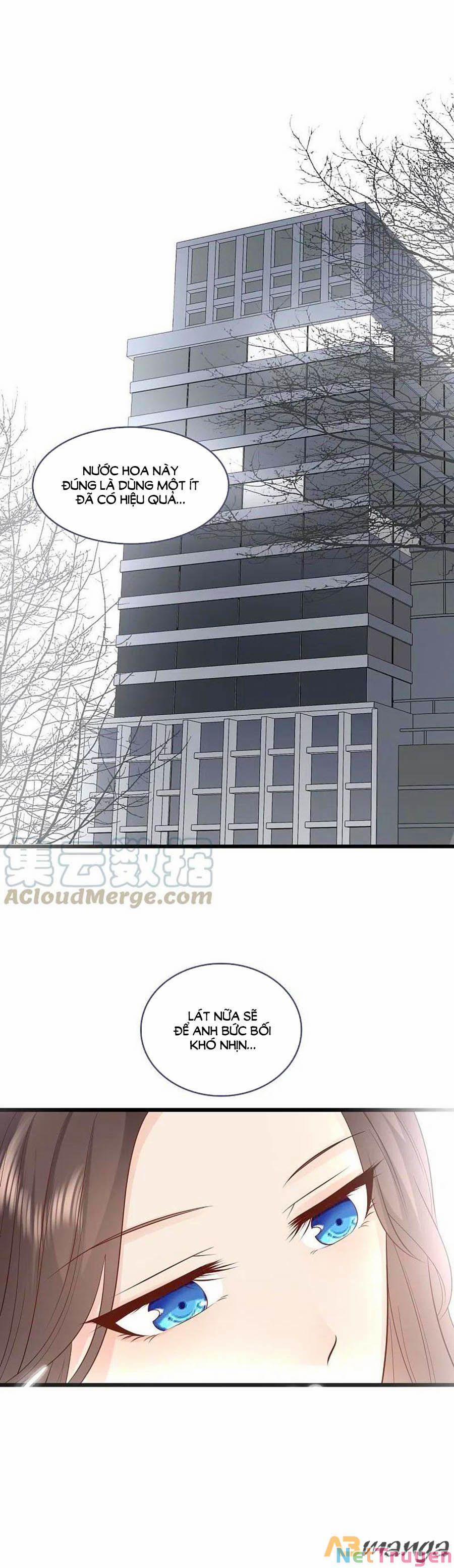 Tổng Tài Daddy Đuổi Tới Nơi Rồi 148 trang 0