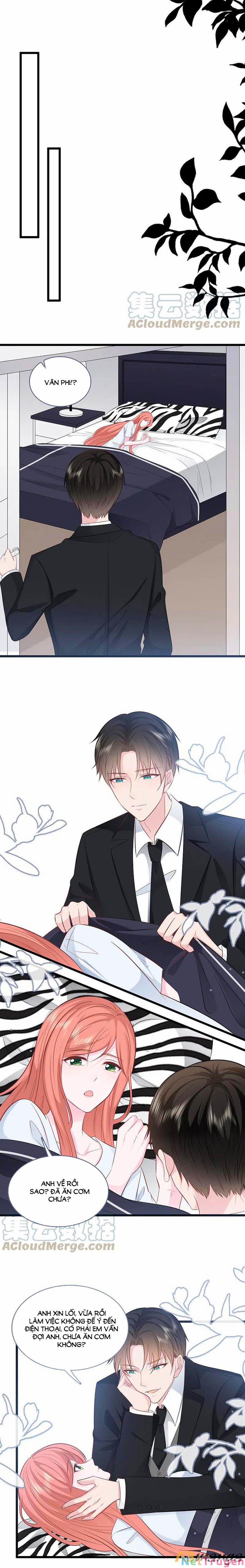 Tổng Tài Daddy Đuổi Tới Nơi Rồi 148 trang 5