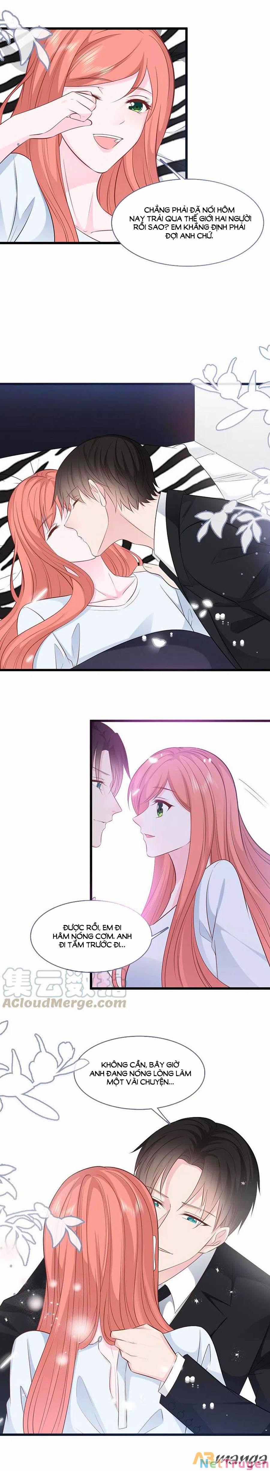 Tổng Tài Daddy Đuổi Tới Nơi Rồi 148 trang 6