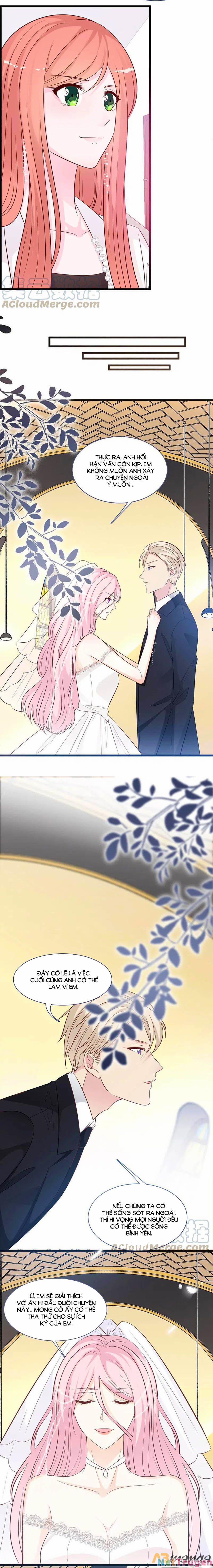 Tổng Tài Daddy Đuổi Tới Nơi Rồi 150 trang 4