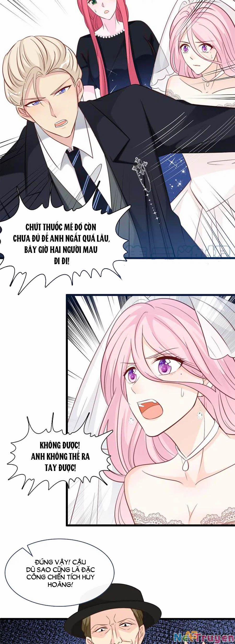 Tổng Tài Daddy Đuổi Tới Nơi Rồi 151 trang 5