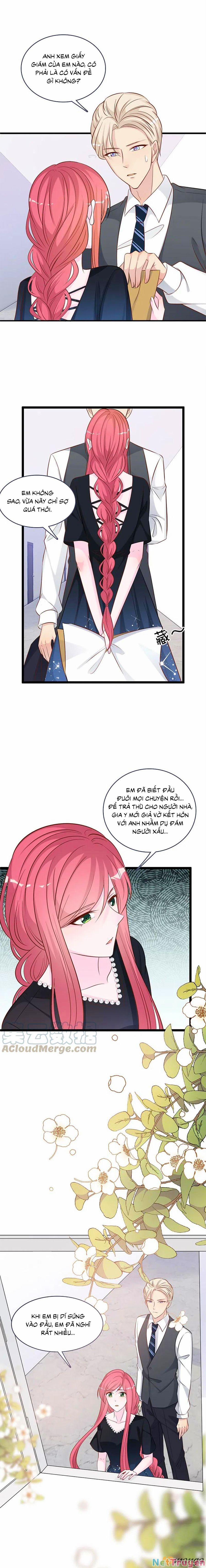 Tổng Tài Daddy Đuổi Tới Nơi Rồi 152 trang 0