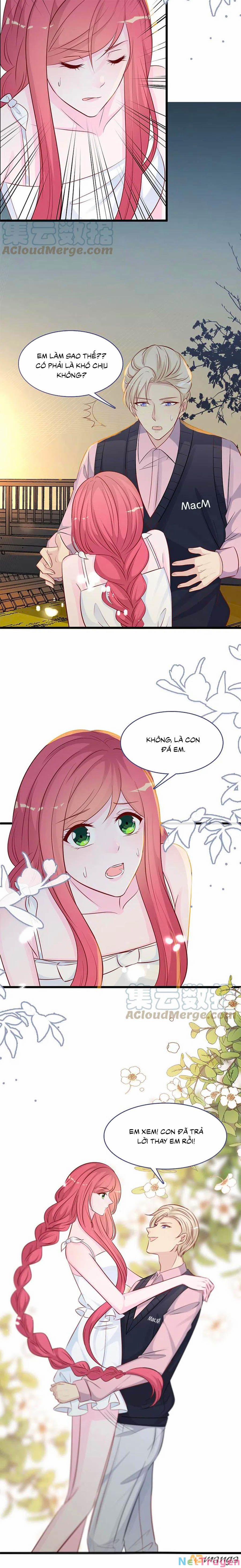 Tổng Tài Daddy Đuổi Tới Nơi Rồi 153 trang 5