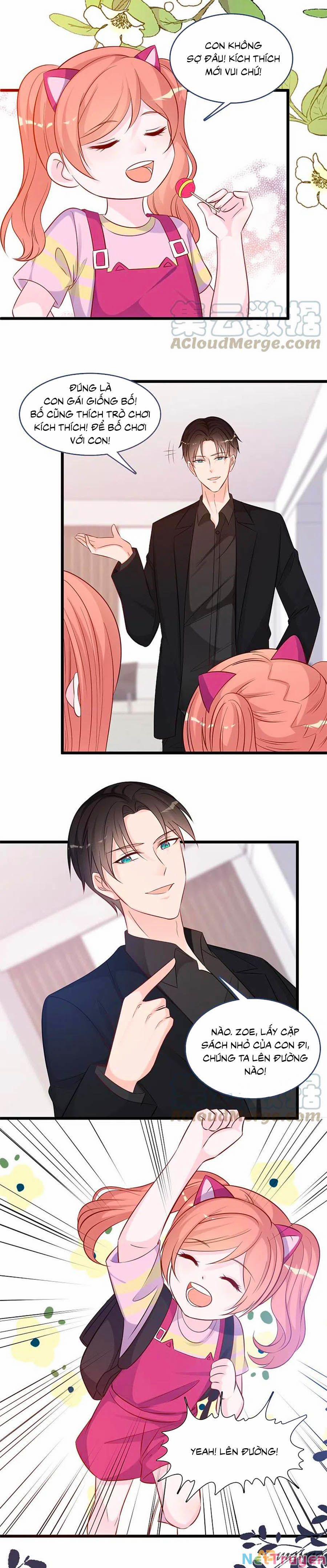 Tổng Tài Daddy Đuổi Tới Nơi Rồi 154 trang 2