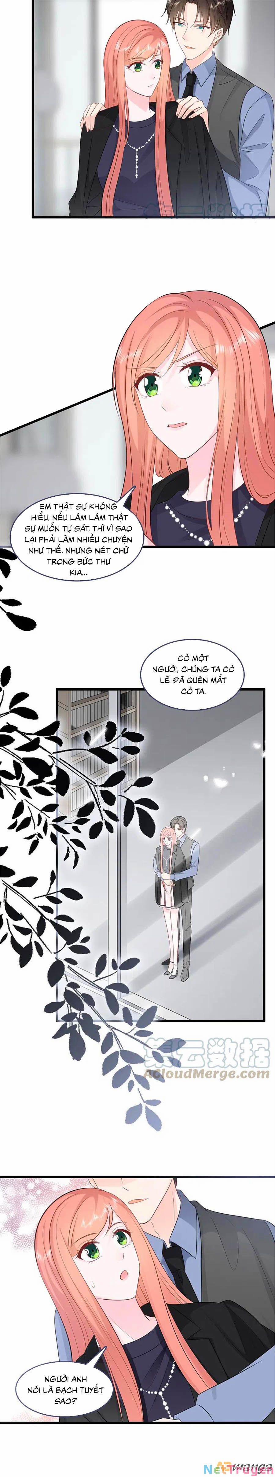 Tổng Tài Daddy Đuổi Tới Nơi Rồi 157 trang 6