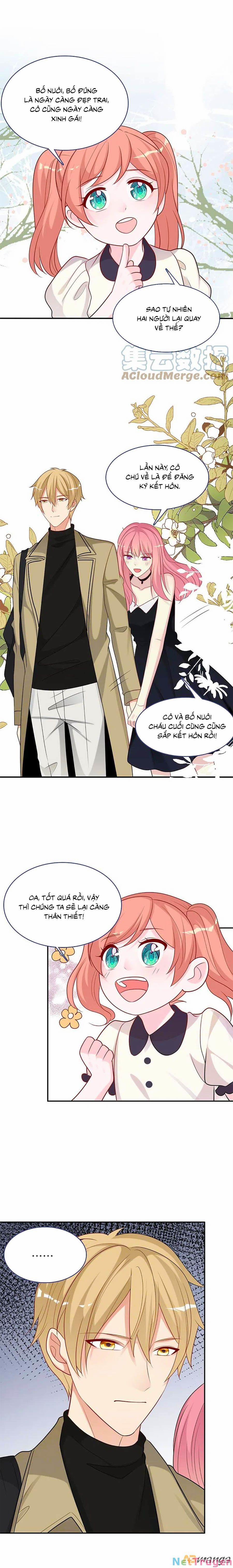 Tổng Tài Daddy Đuổi Tới Nơi Rồi 161 trang 0