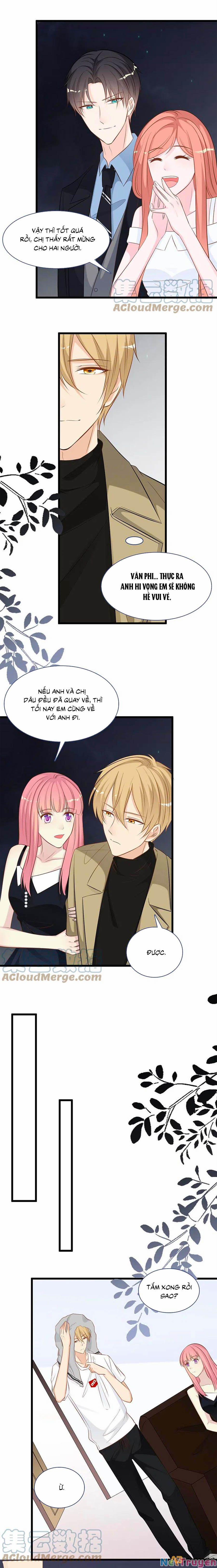 Tổng Tài Daddy Đuổi Tới Nơi Rồi 161 trang 6