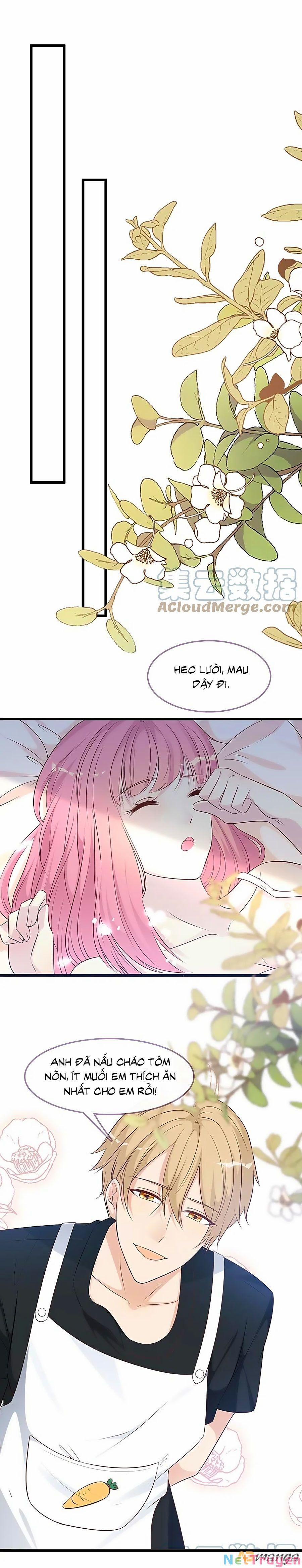 Tổng Tài Daddy Đuổi Tới Nơi Rồi 163 trang 0