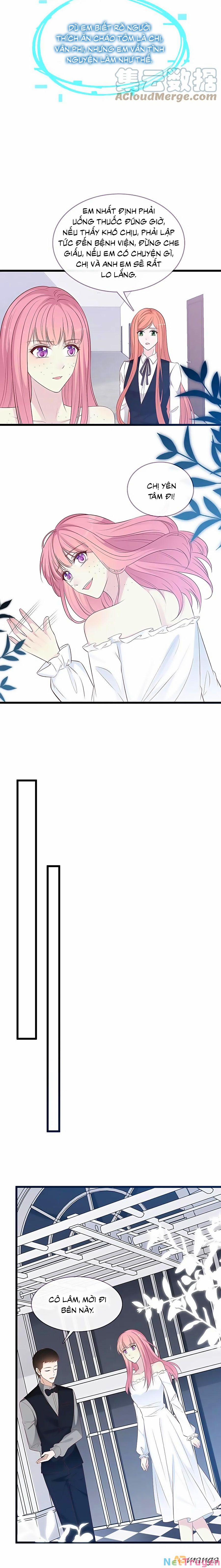 Tổng Tài Daddy Đuổi Tới Nơi Rồi 163 trang 7