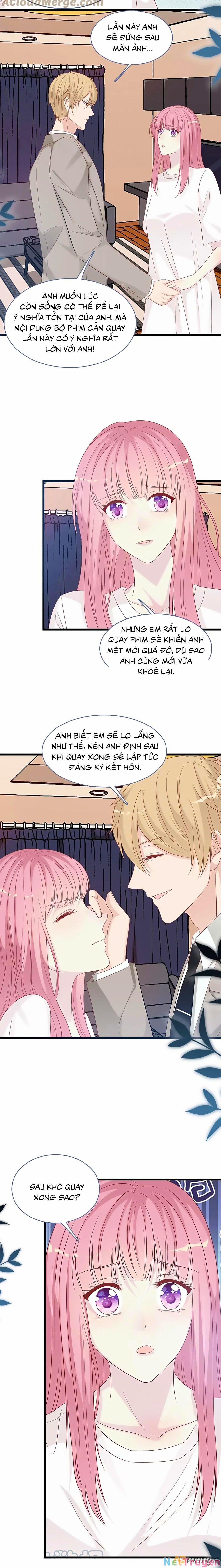 Tổng Tài Daddy Đuổi Tới Nơi Rồi 165 trang 7