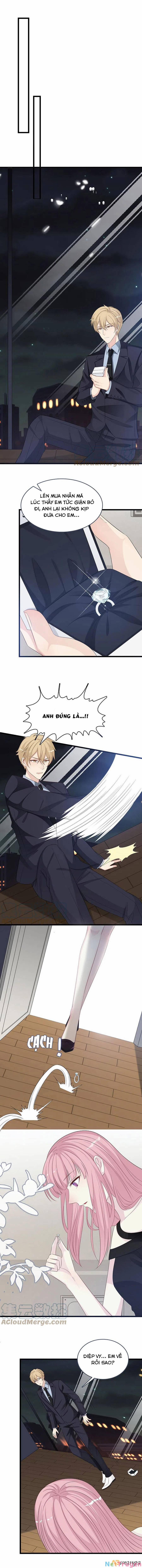 Tổng Tài Daddy Đuổi Tới Nơi Rồi 170 trang 3