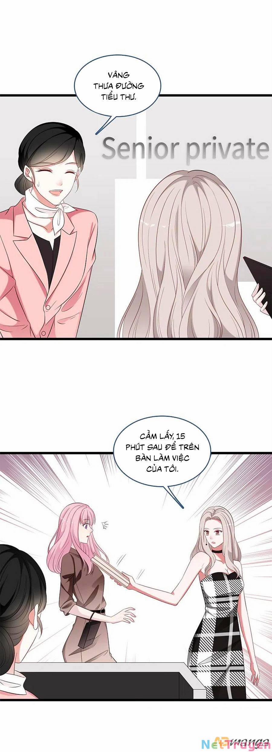 Tổng Tài Daddy Đuổi Tới Nơi Rồi 174 trang 4