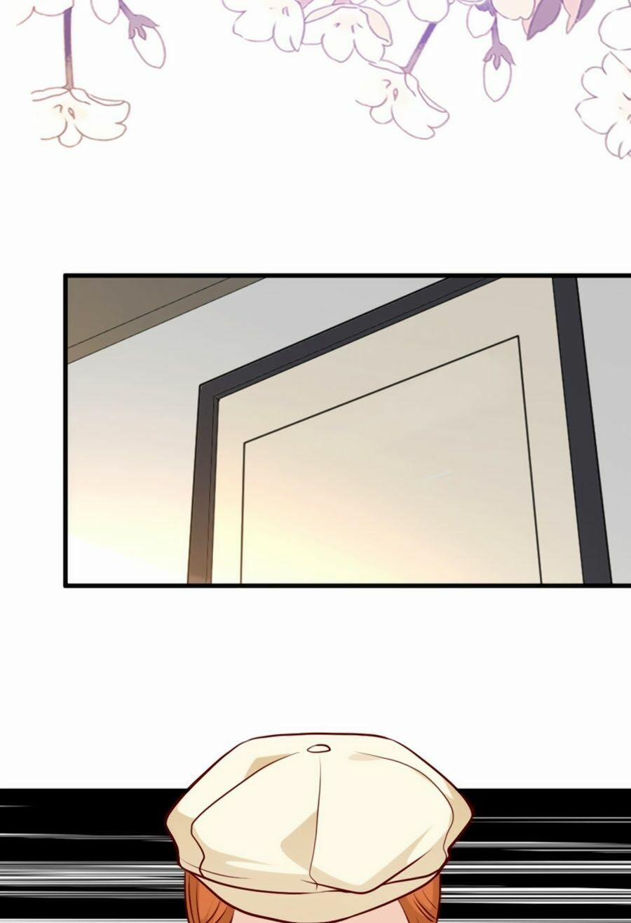 Tổng Tài Daddy Đuổi Tới Nơi Rồi 47 trang 5