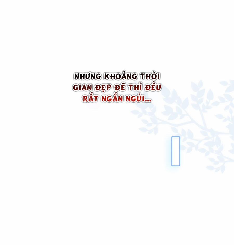 Tổng Tài Daddy Đuổi Tới Nơi Rồi 51 trang 5