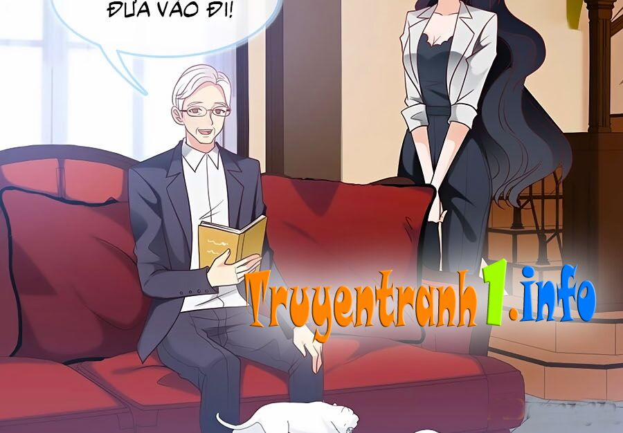 Tổng Tài Daddy Đuổi Tới Nơi Rồi 77 trang 10