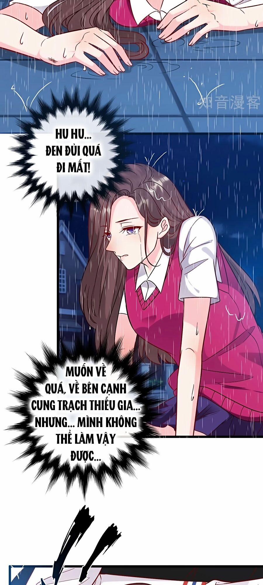 Tổng Tài Daddy Đuổi Tới Nơi Rồi 93 trang 12